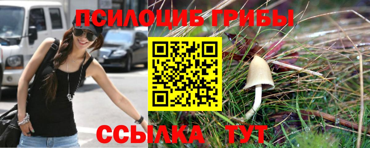 Качканар  купить закладку  Вход с VPN  Галлюциногенные грибы мицелий 